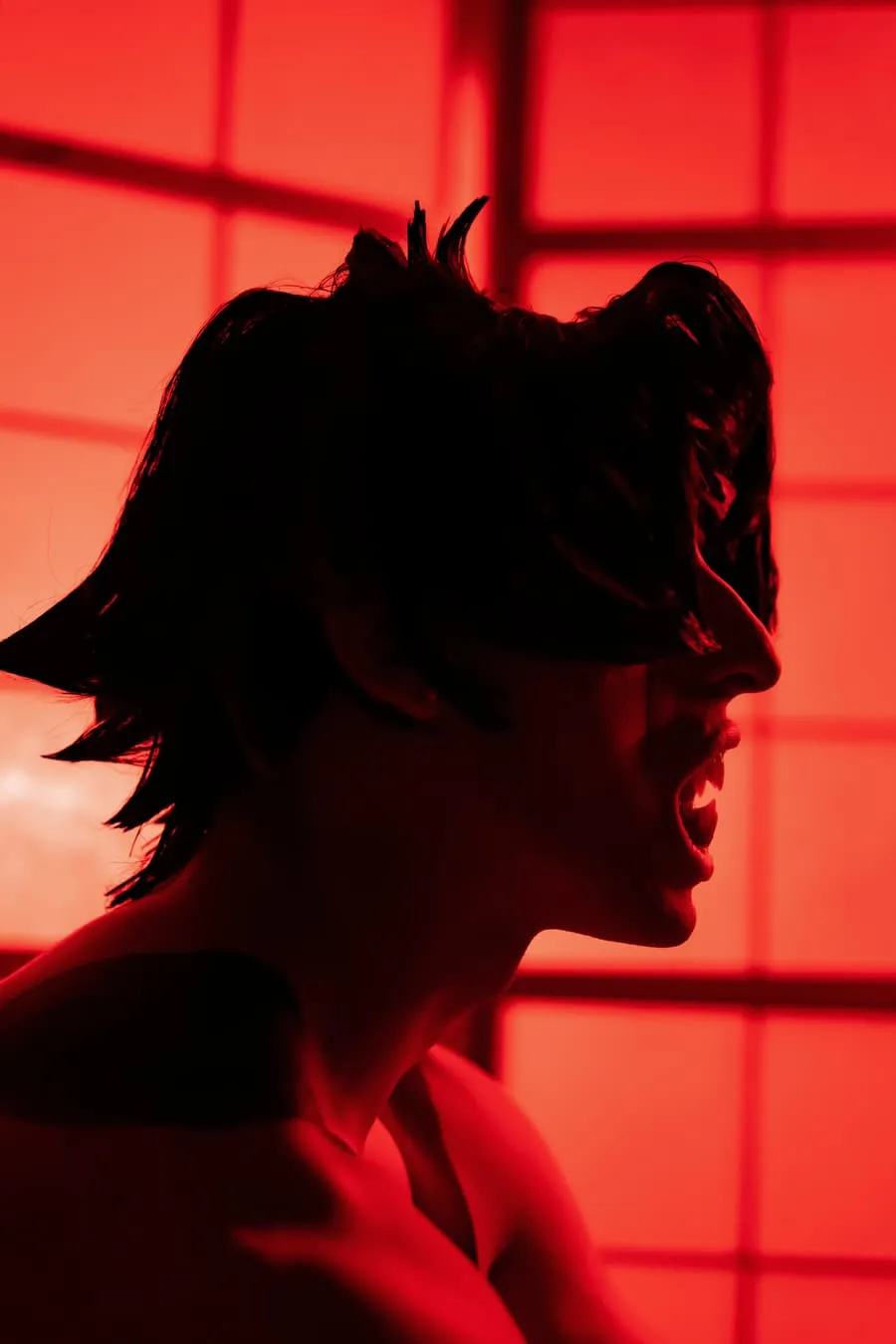 Devilman · UltraParadise 19